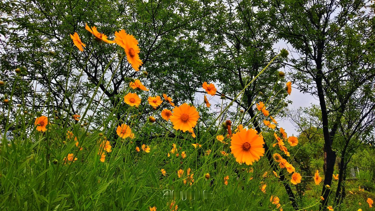 中越合作如何促进地区稳定和发展中越合作的领域很多。越南可以承接北方大国的产业转移