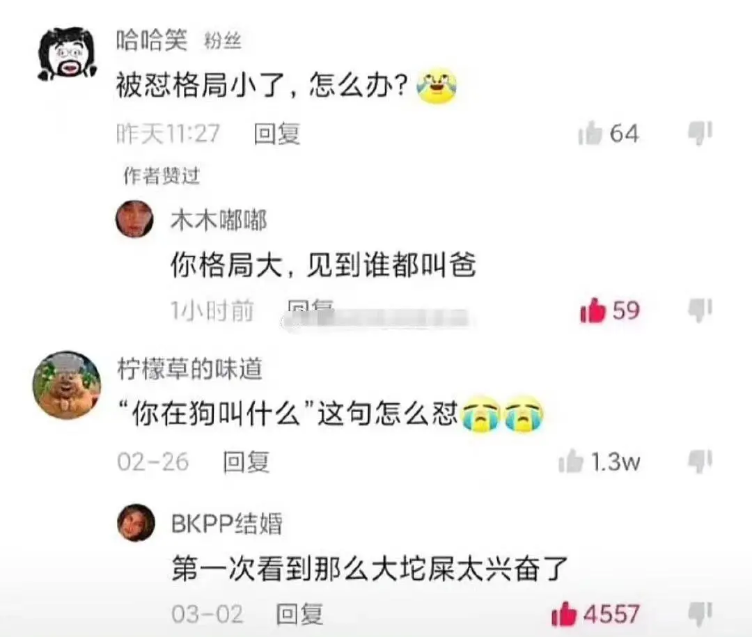 当代网友骂人可以斯文到什么程度哈哈哈哈