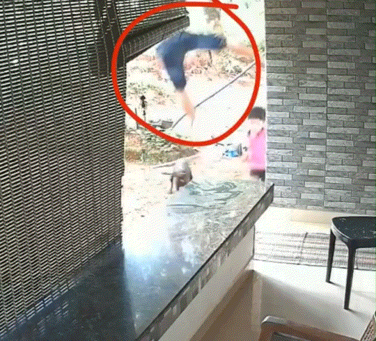 印度，一6岁男孩被流浪狗突然扑倒，对其撕咬，孩子吓得哇哇大哭四处逃窜，但狗却不依