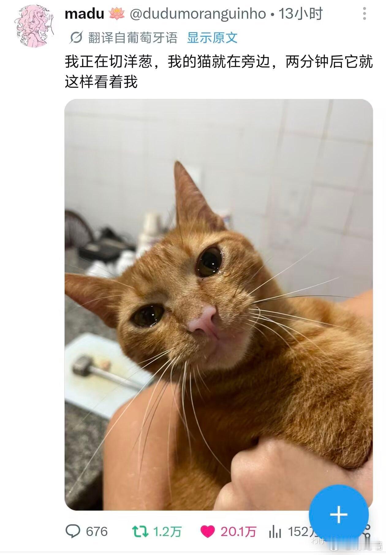 天啊 