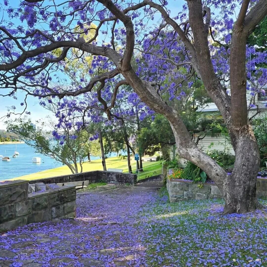 紫色系背景图 | 现代风背景图 | 简约风背景图 | 梦幻风背景图 | ins风