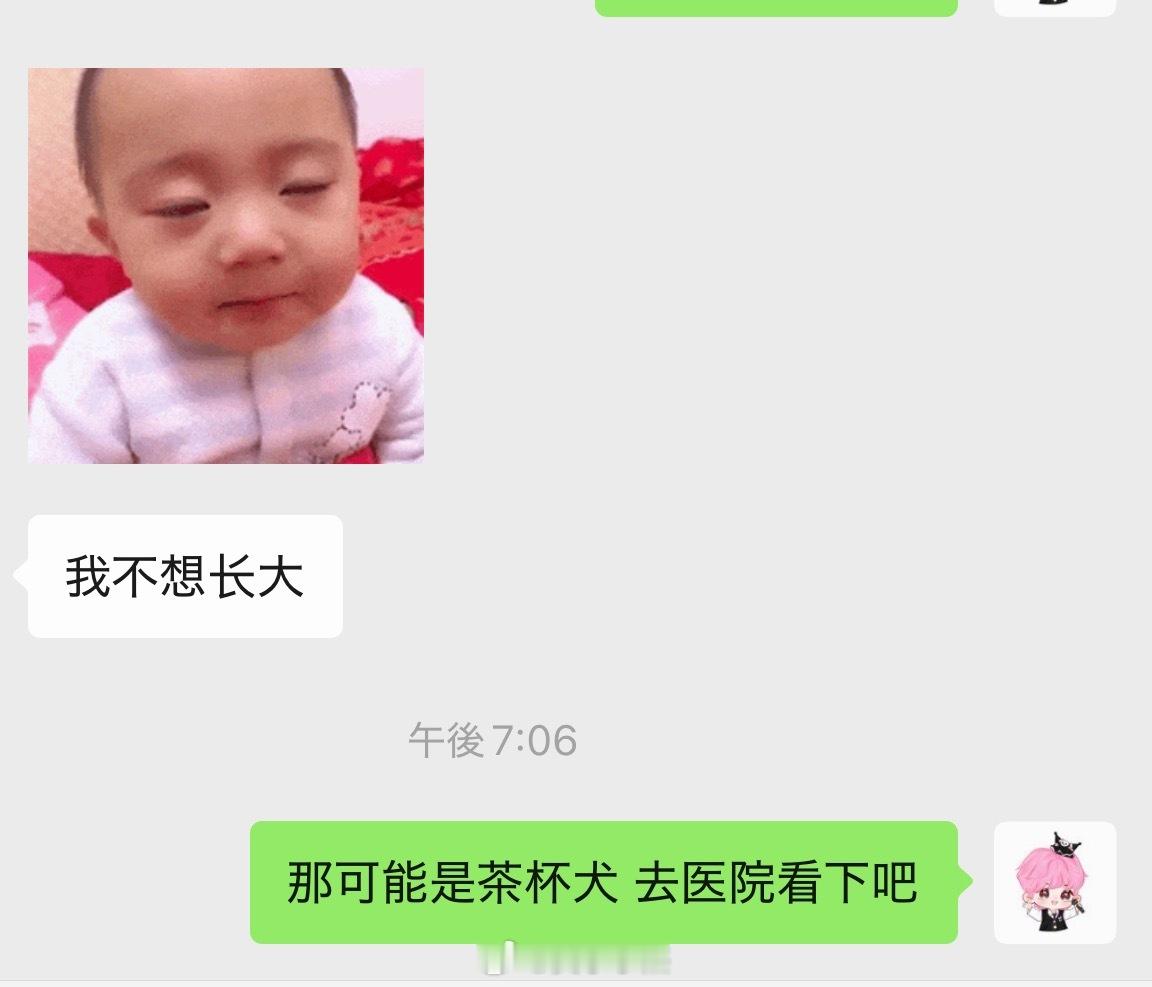 我和椰椰一个纯理性一个纯感性就这样哈哈哈哈哈哈哈哈哈哈 