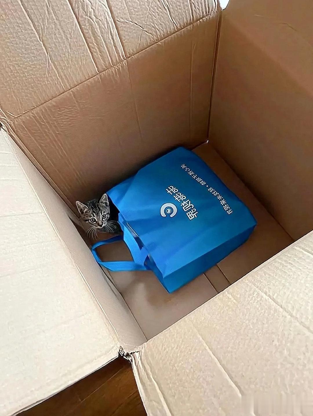 和陌生人说话的后果就是被绑架回家...