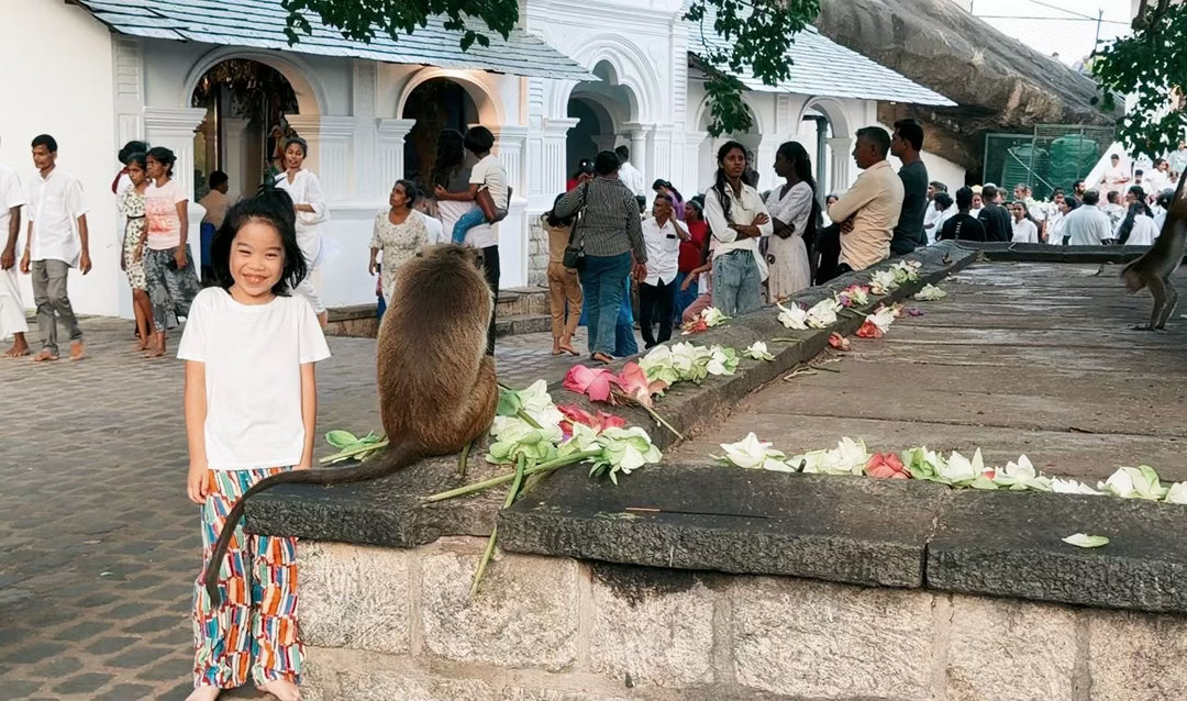 今天下午，我们去了斯里兰卡著名的丹布勒石窟寺。Dambulla Cave Tem