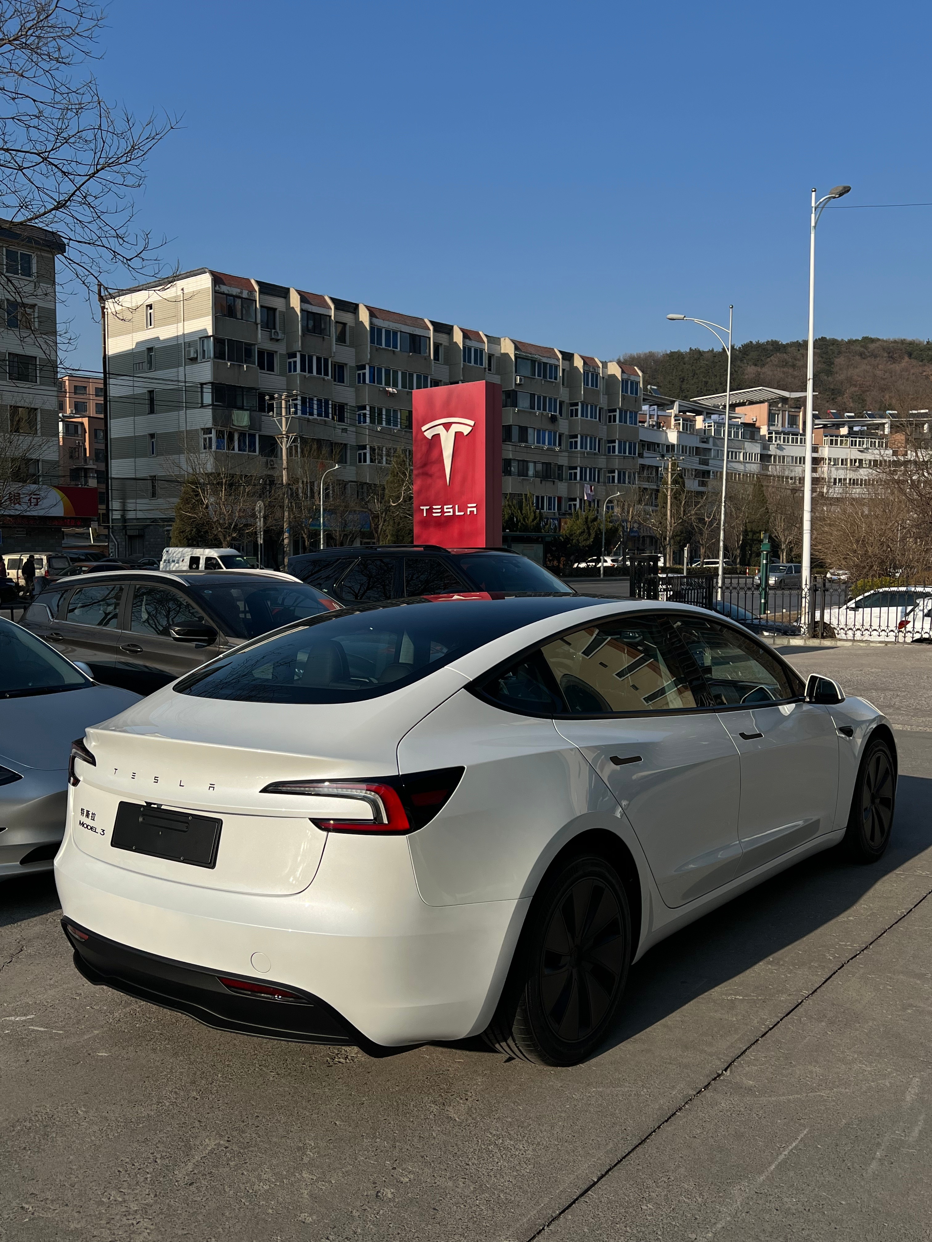 小王的毛豆 3 也提车了祝他马达一响，黄金万两26 岁，一台揽胜一台特斯拉不比有