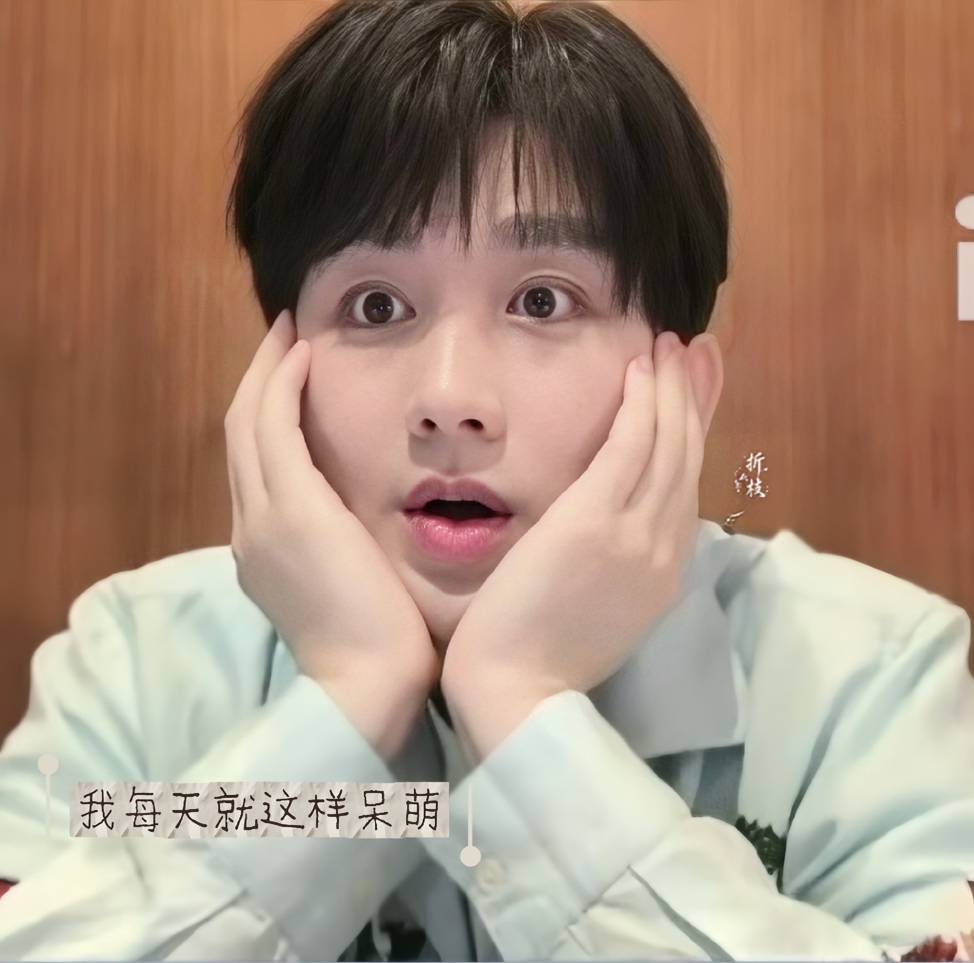 成毅直播  cy 成毅狩谎 🈲 快 转，发现 一律❌黑没抢到🎫，看看我们呆萌