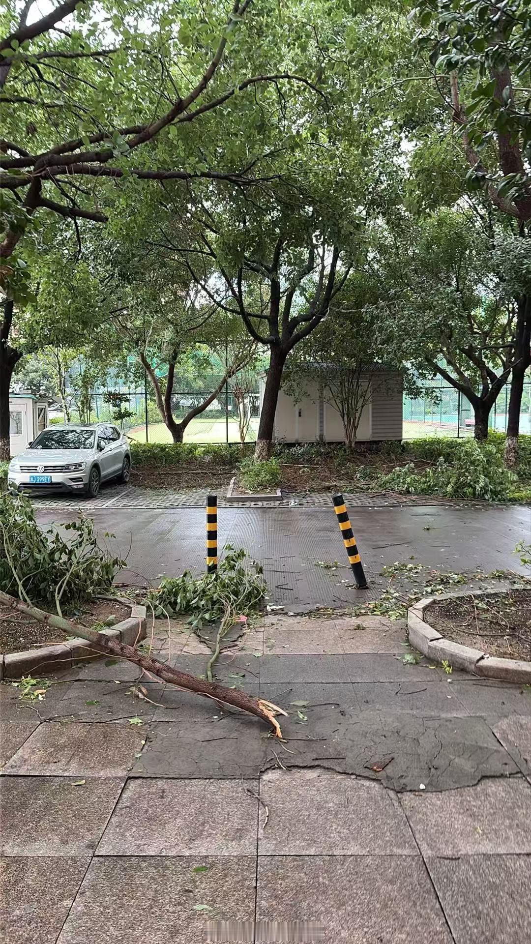 台风巴威风雨里的城市温度坐标台州沿海小城，“巴威”登陆后的第一天，窗外风声没停过