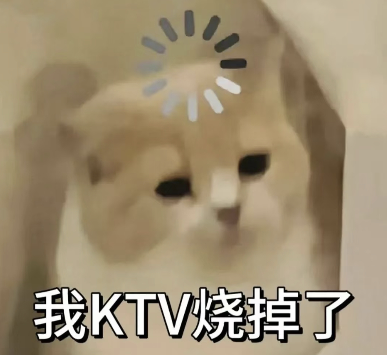 这一下午闹麻了 