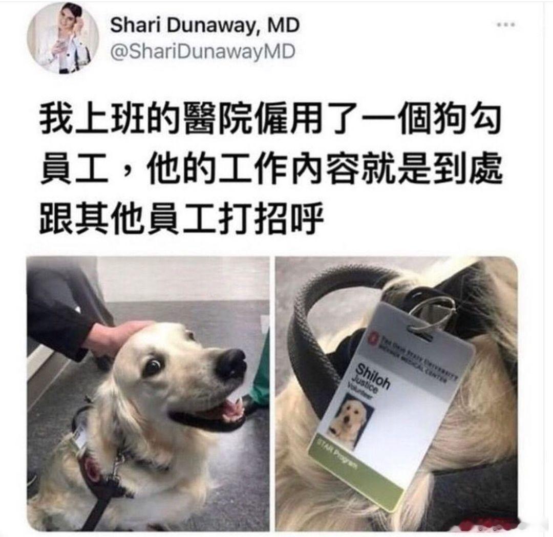 [太阳] 