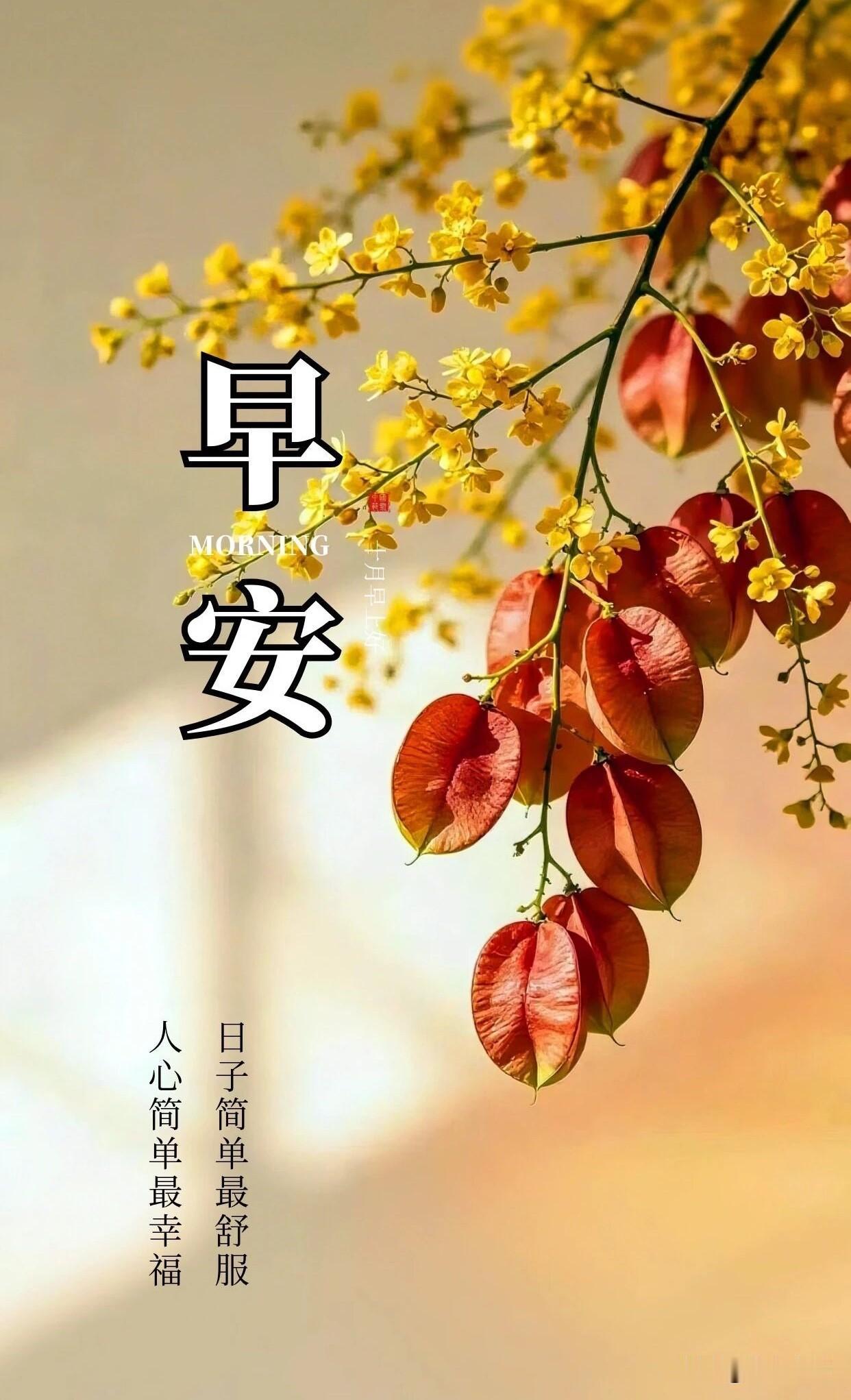🍂²⁰²⁶/₁₀.₂₇ ᵕ̈ 周二早安｜朝夕平安☕️🍒🍑🐎
暮秋风渐冷，