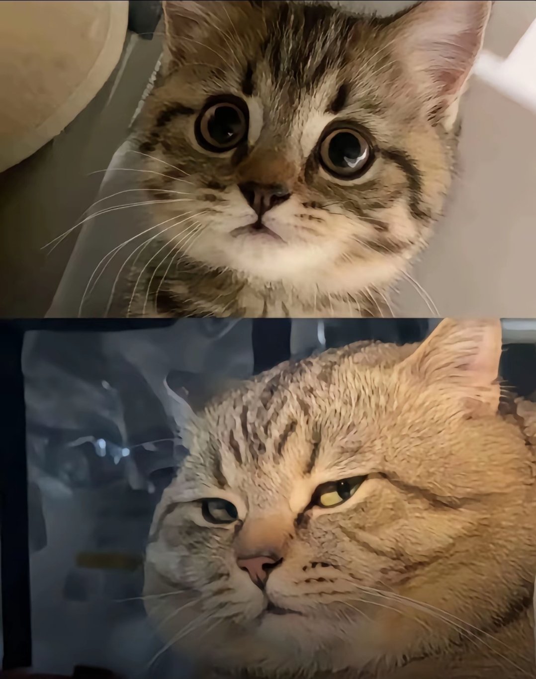 时间 ​​​