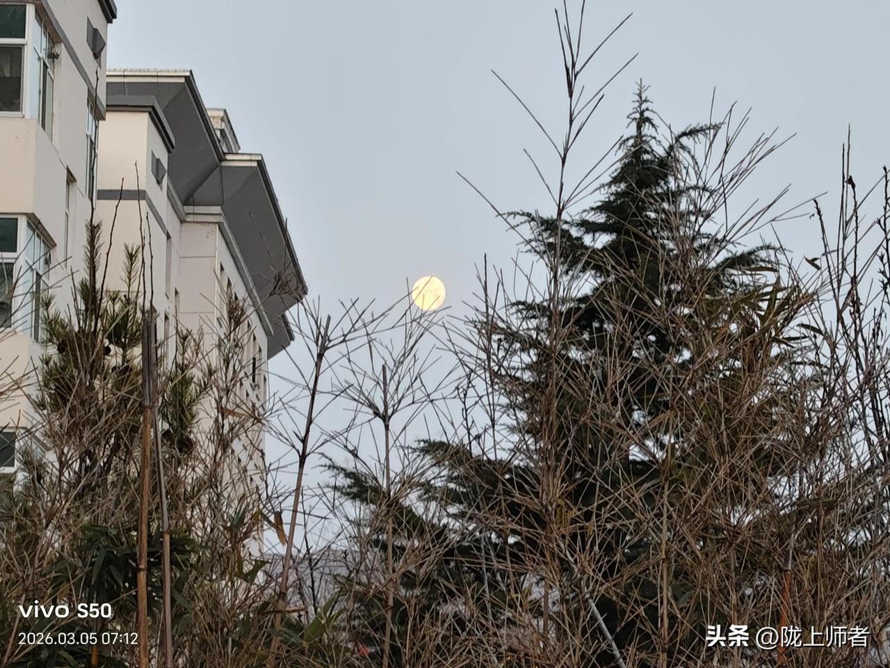 今年过年发现农村相亲市场一个奇葩的现象:
1.家里兄弟多的相不到对象。
2.三代