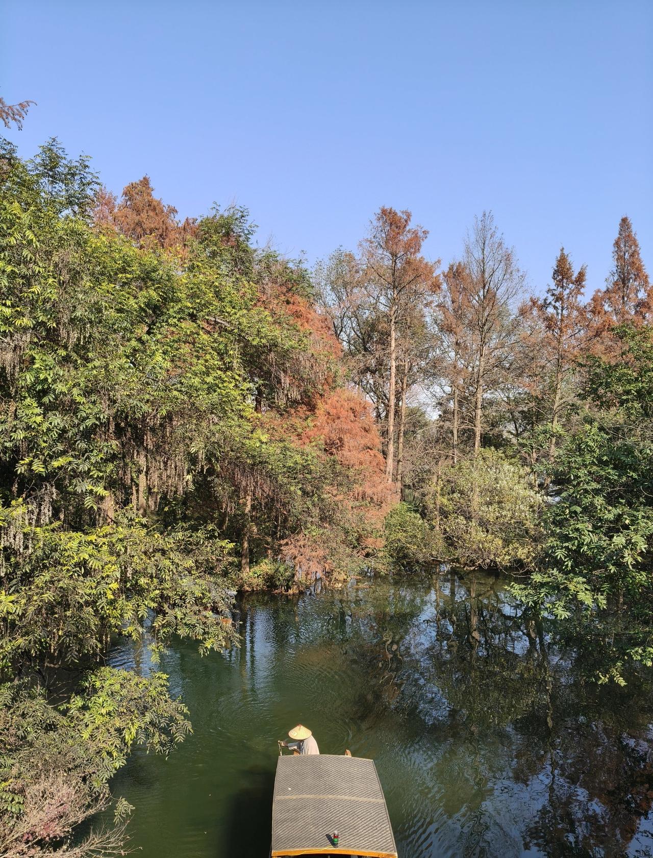 漫步冬日暖阳中！
📍杭州 虎跑路绿道
虽然是冬天了，虎跑路这一片山路两旁的树?