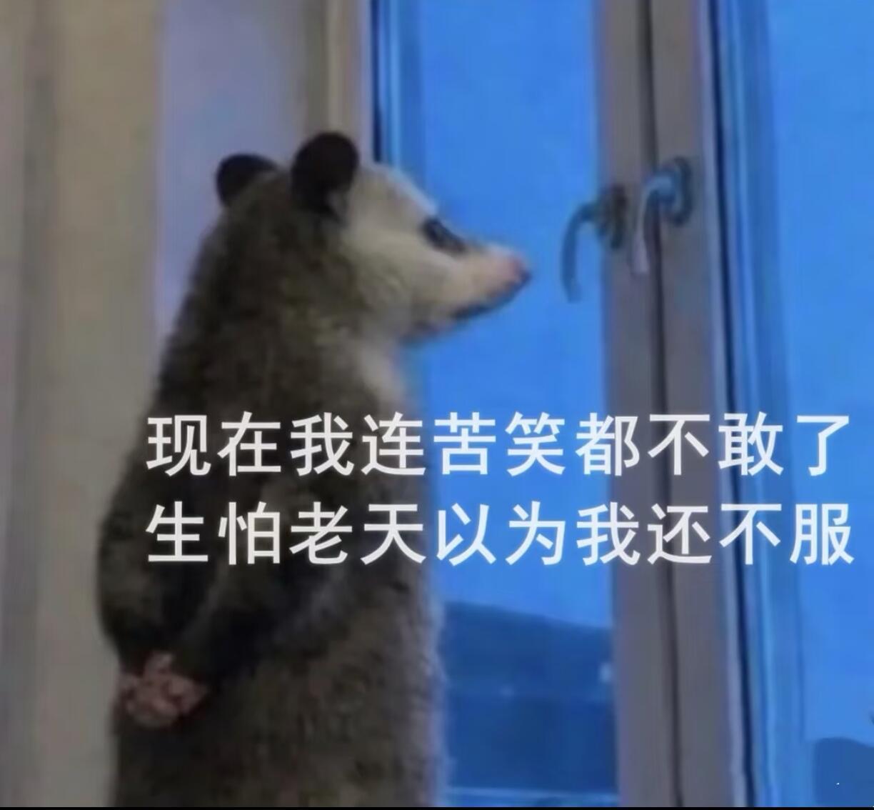 每次我刚做好计划，总有突发状况半路打乱 