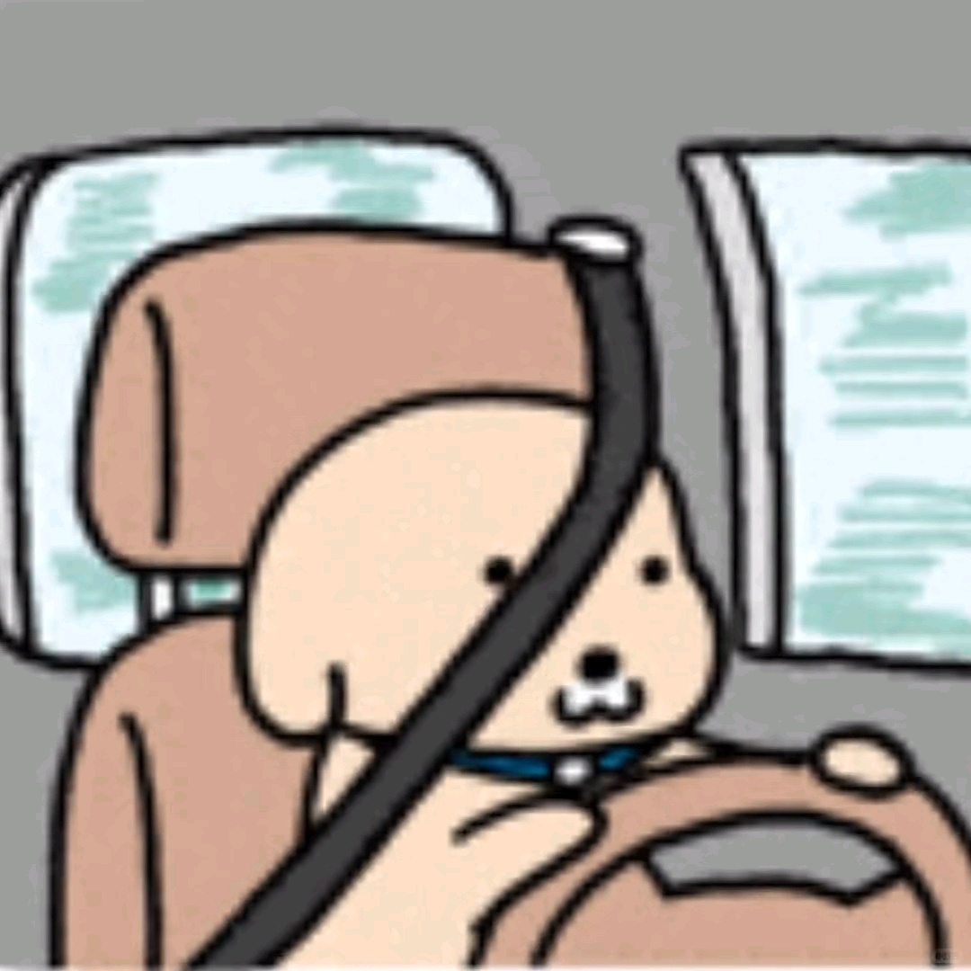 买车到底该看什么参数也就是参考，像是汽车这样不会轻易换的大件，决定使用者难不难受