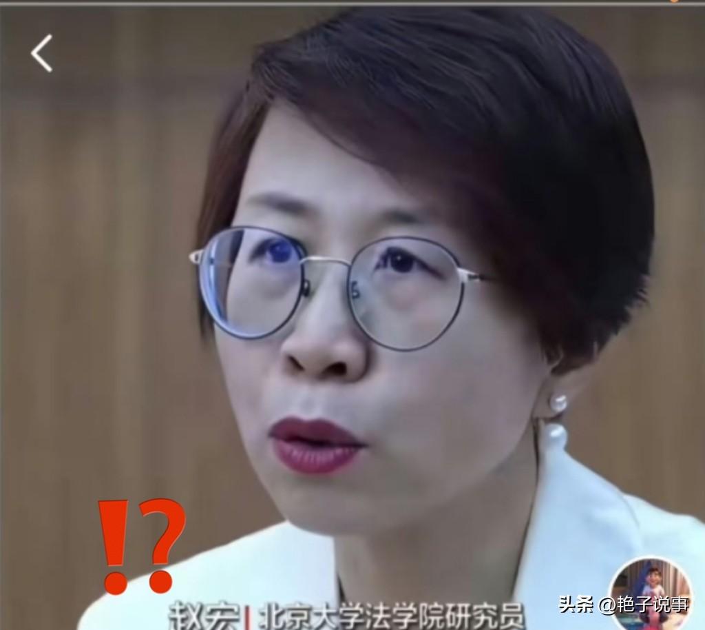 万万没想到！
北大法学院赵宏教授与瑞典隆德大学的合作始于近二十年前。
双方在以人