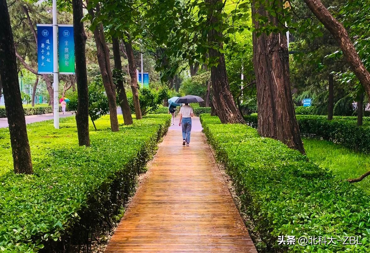 北交所打新前瞻（36）：致力提供精准放疗解决方案企业——科莱瑞迪

3月31日，