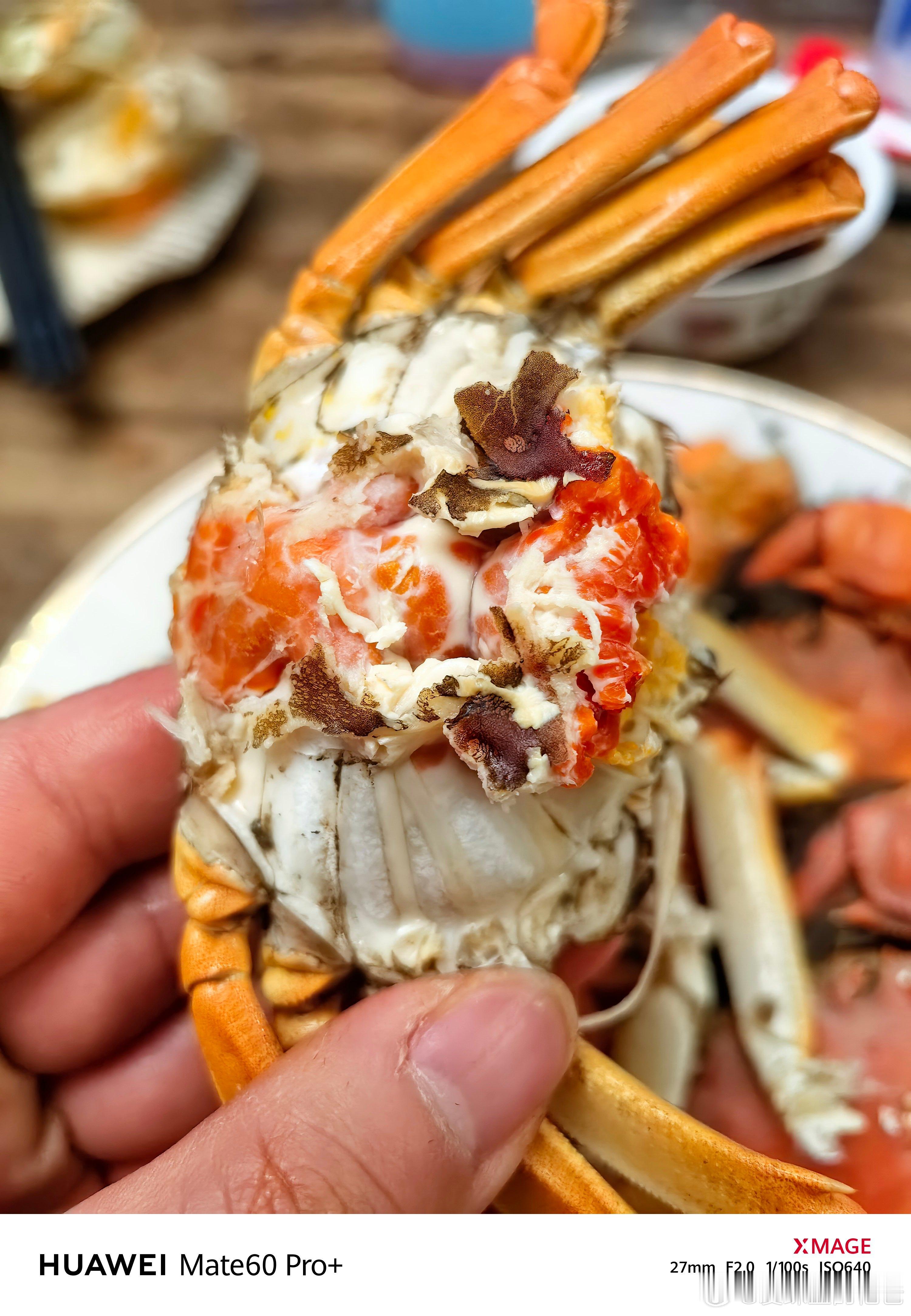 最高品质阳澄湖大闸蟹，太肥了，母蟹满黄，蟹黄很香，公蟹肉多，白膏黏嘴封喉，真是人