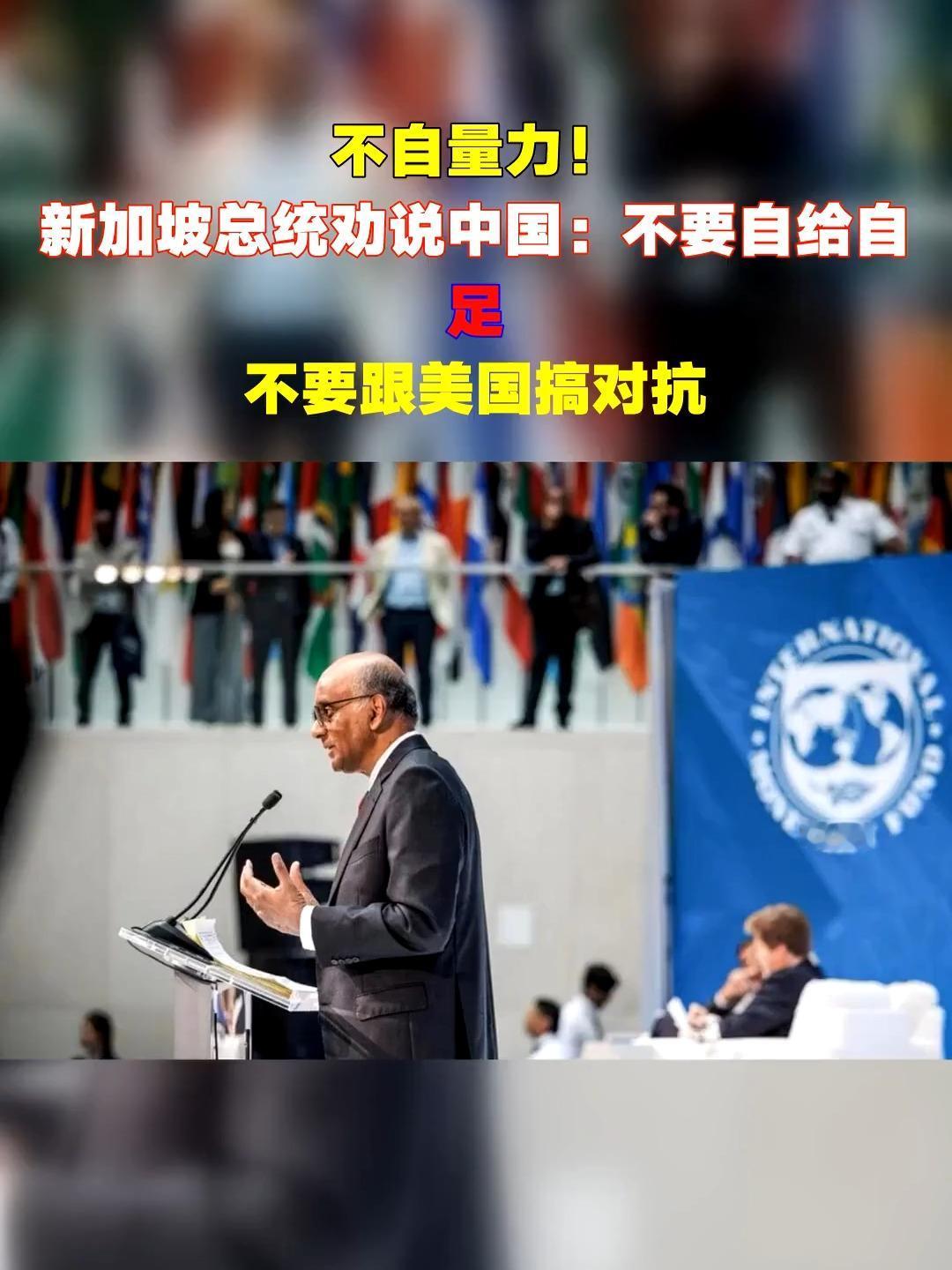 2005年，新加坡与印度签订“特殊人才引进协议”，表面上试图通过引入外来族群，构