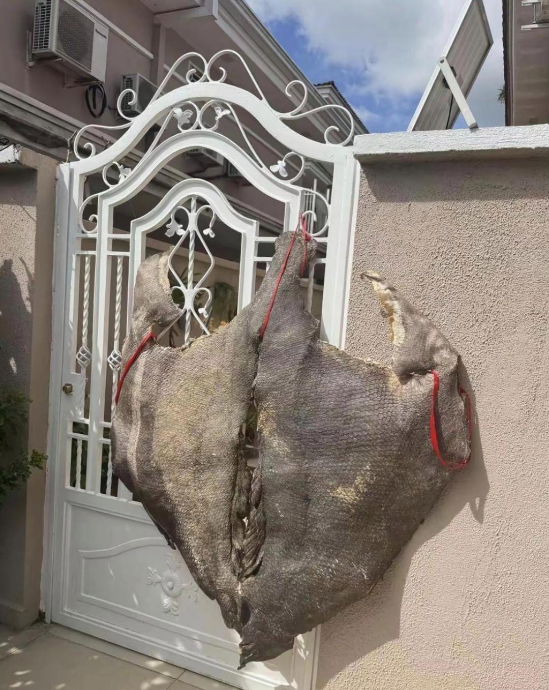 这是赤裸裸的炫富，有知道这是什么不？