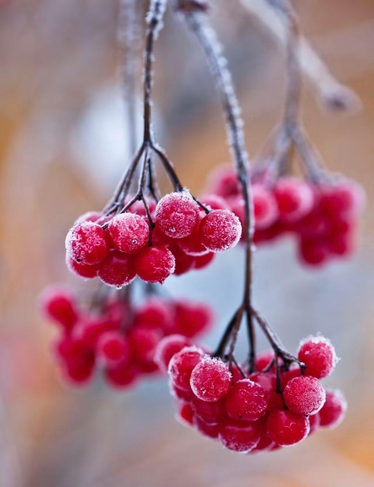 慢生活的魅力在于，让自己卸下赶路的慌张，看得见檐角的月光，闻得到巷尾的烟火，听得