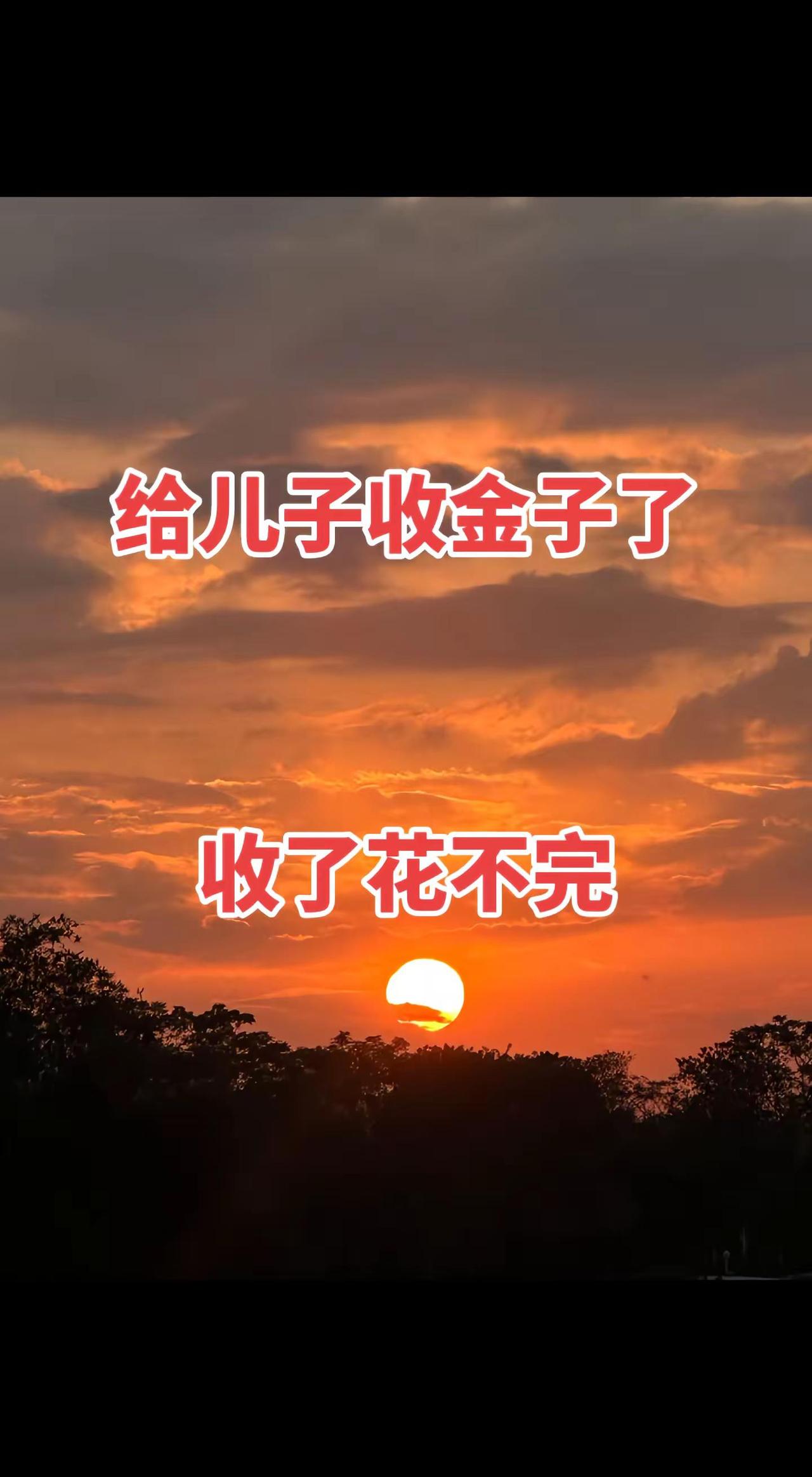 给儿子收金子了收了花不完落日余晖映晚霞一抹夕阳美如画 日出之美 抓拍瞬间记录美好