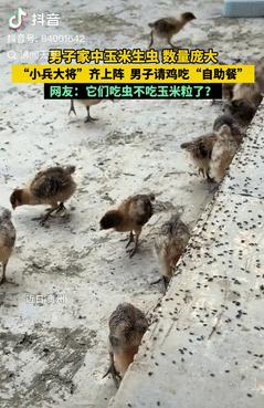 人怎么能这么聪明！贵州，一男子家储藏的玉米生虫，由于虫子数量太多，还一直往家里爬