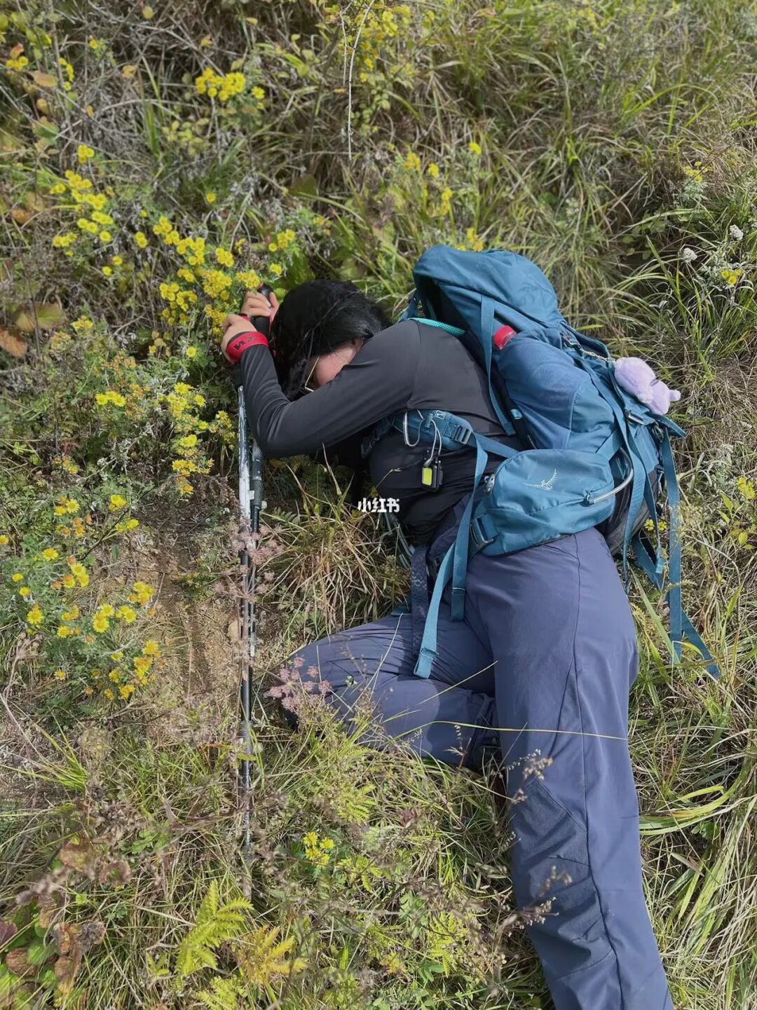 太行山徒步太累⛰️野花太美🌸躺花草里歇会儿
