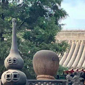 一所房子里的多个房间不可能同时面向一个方向。此时，客厅和卧室的朝向应该是主要考虑