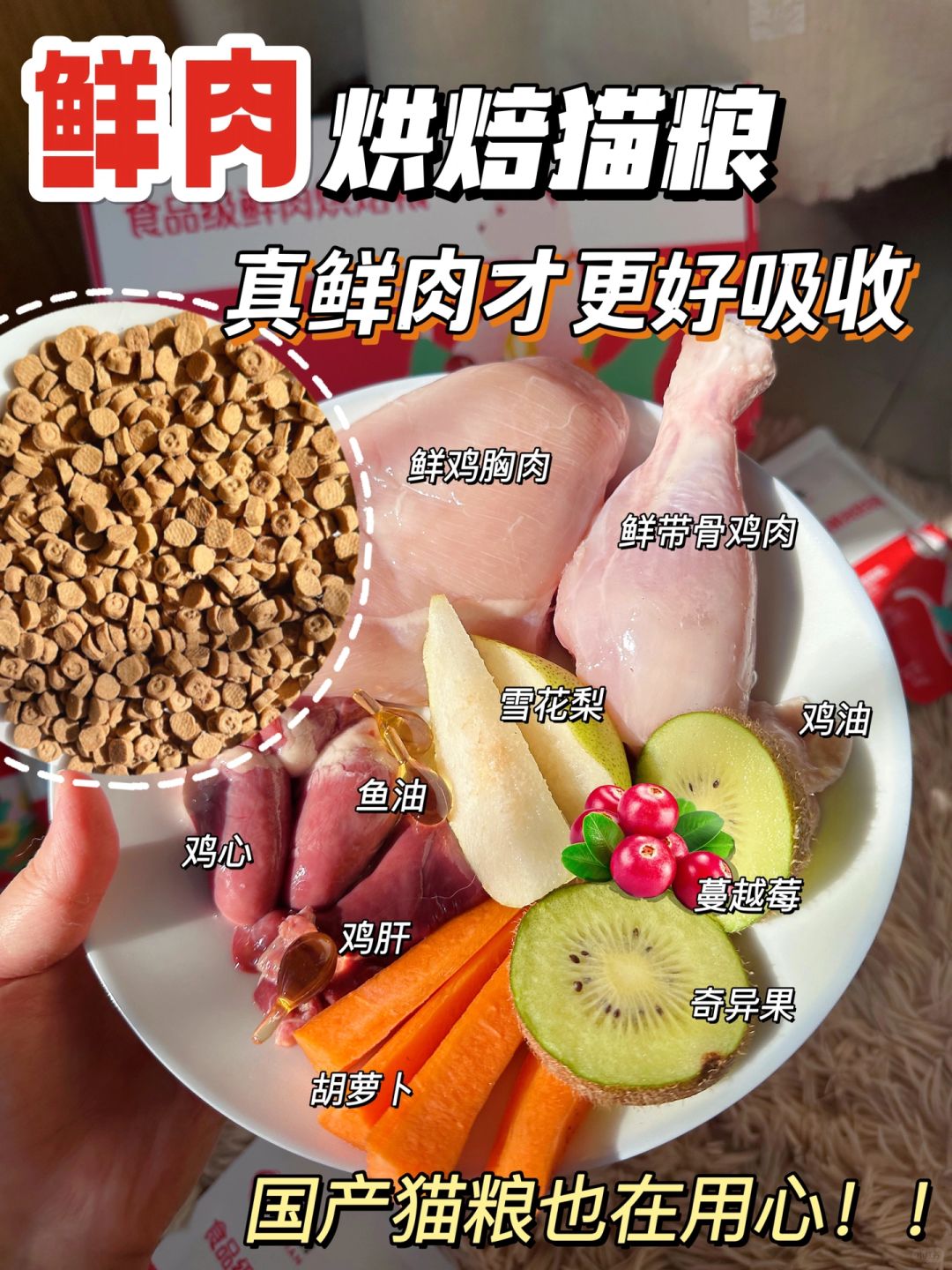 给国产猫粮一个机会！鲜肉烘焙粮尊的绝啦