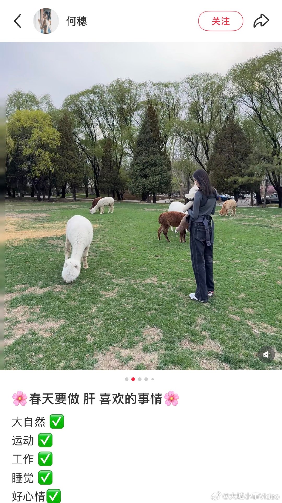 【何穗晒带娃照】何穗带娃看小动物 4月1日，在社媒分享带宝宝出门的照片，好温馨！