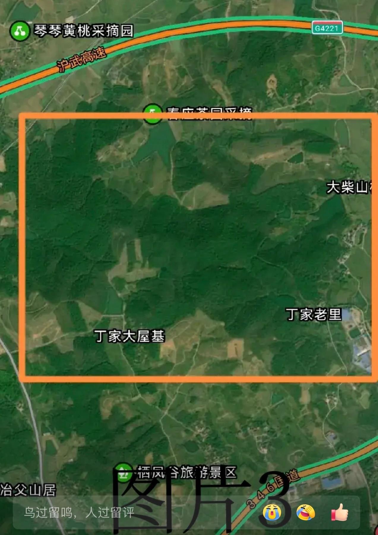 刚刷到一条庐江网友昨天发布关于“合肥野生动物王国”的帖，野生动物王国的选址都已确