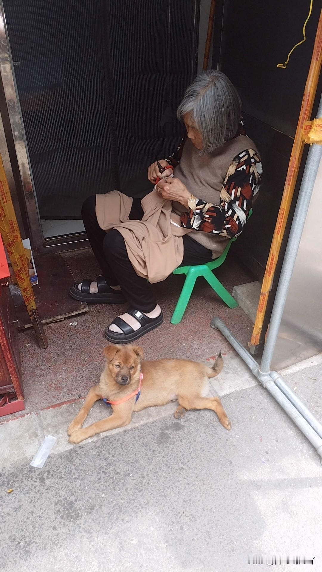 一人一狗
岁月静好
瞬间即永恒
祝福所有的美好