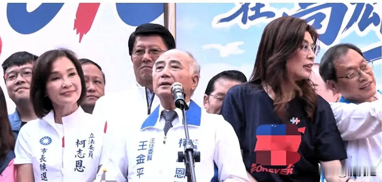 王金平批评民进党：自1949年起切割历史，塑造所谓“假的中华民国”

10月10