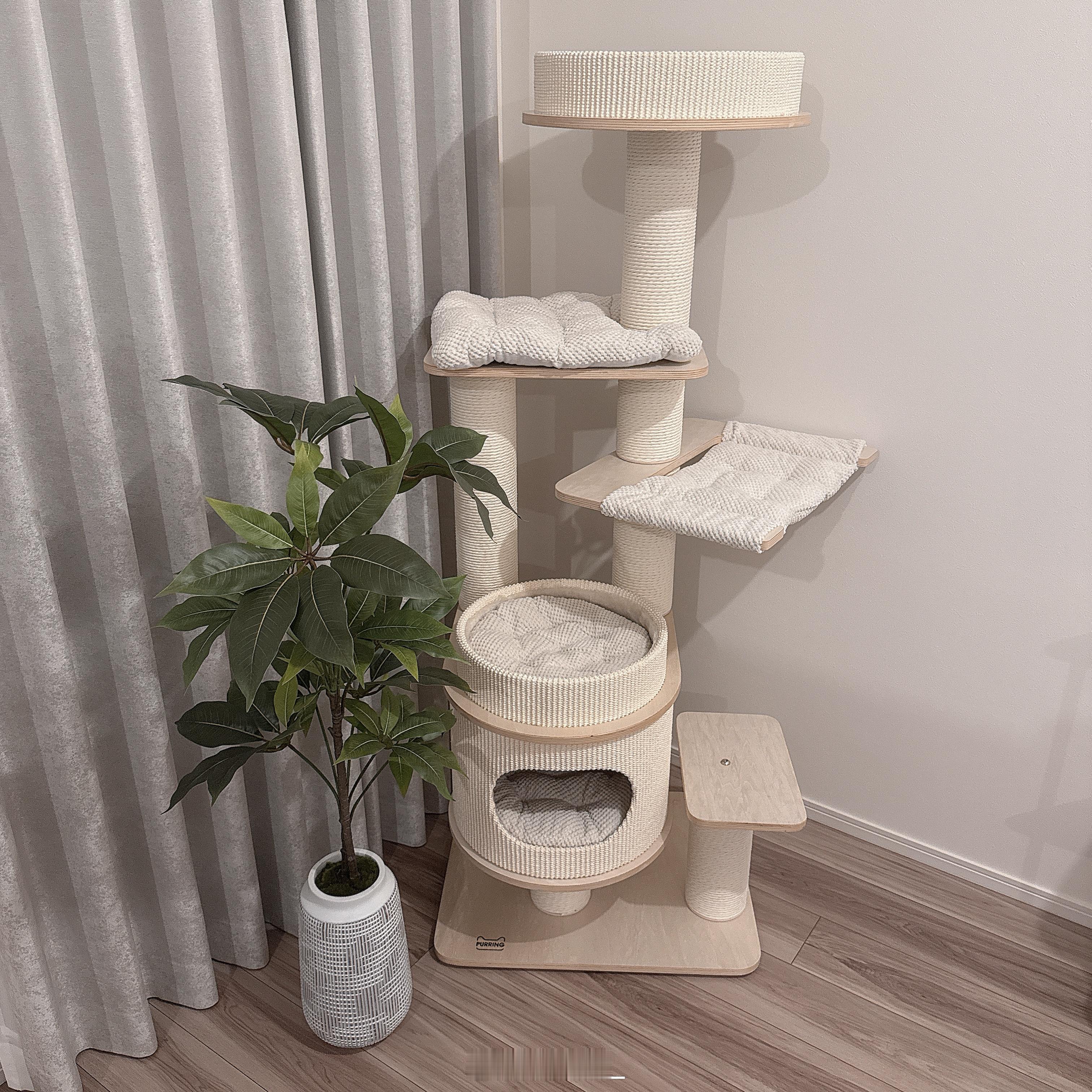 为家里增加了一些新成员🍃绿植三盆考虑到猫猫们的生命安全，所以全部都是假花假树 