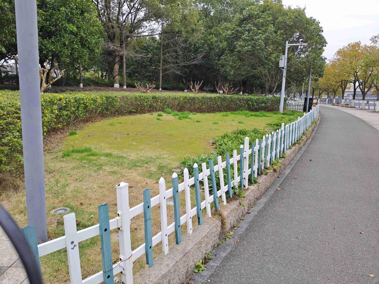 我的今日状态：😁轻松愉快
我这里的天气：☀️晴天