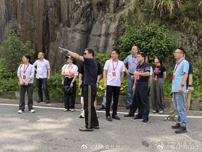 玉环把联络点搬进产业链联出全域共富路 在玉环火山茶基地，千亩茶园里有个人大新农人