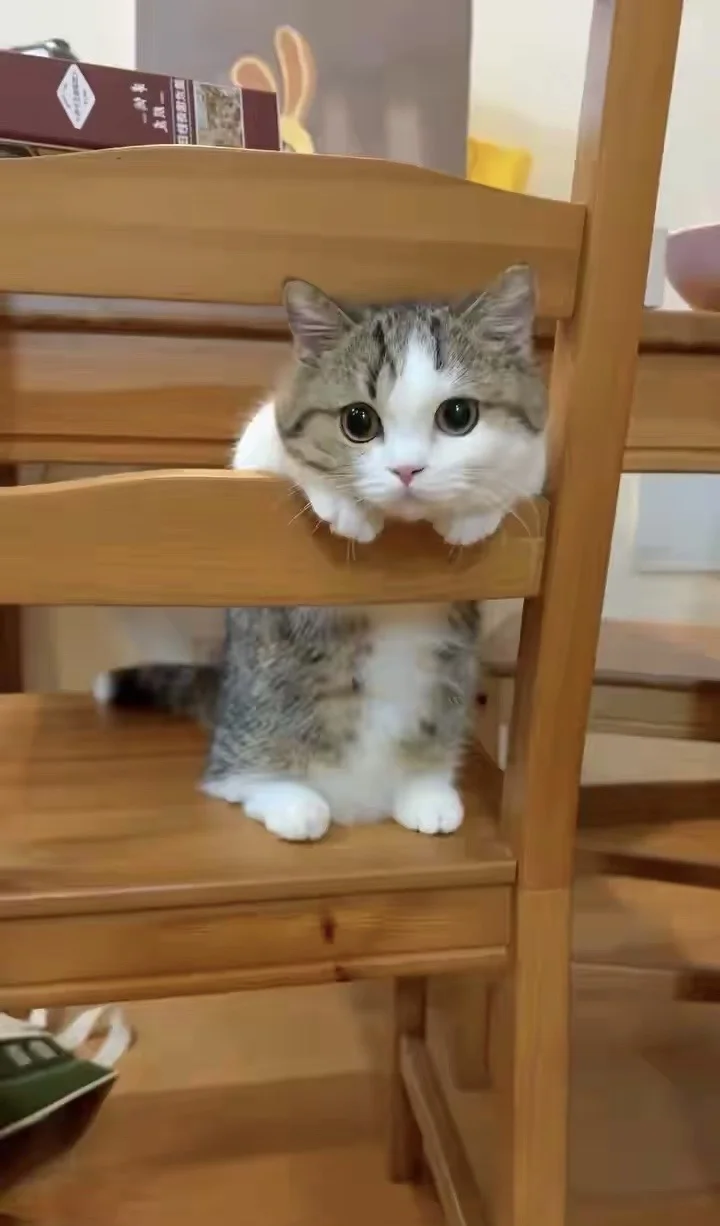 我做心理这些年发现一个很扎心的真相，共情能力强，如果没有自我保护，就是...