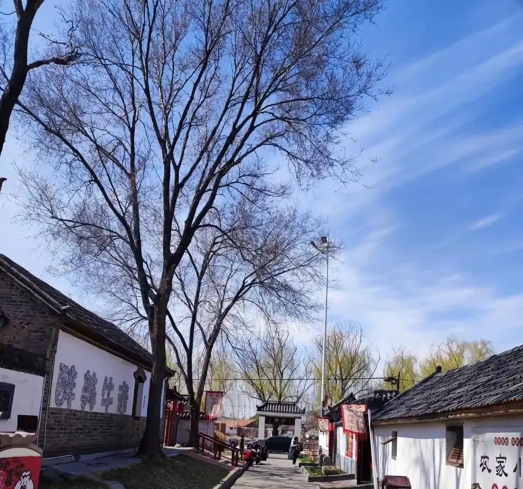 “你要分我的房子和存款？门都没有！这5860块钱，我每月1号雷打不动打进你卡里，