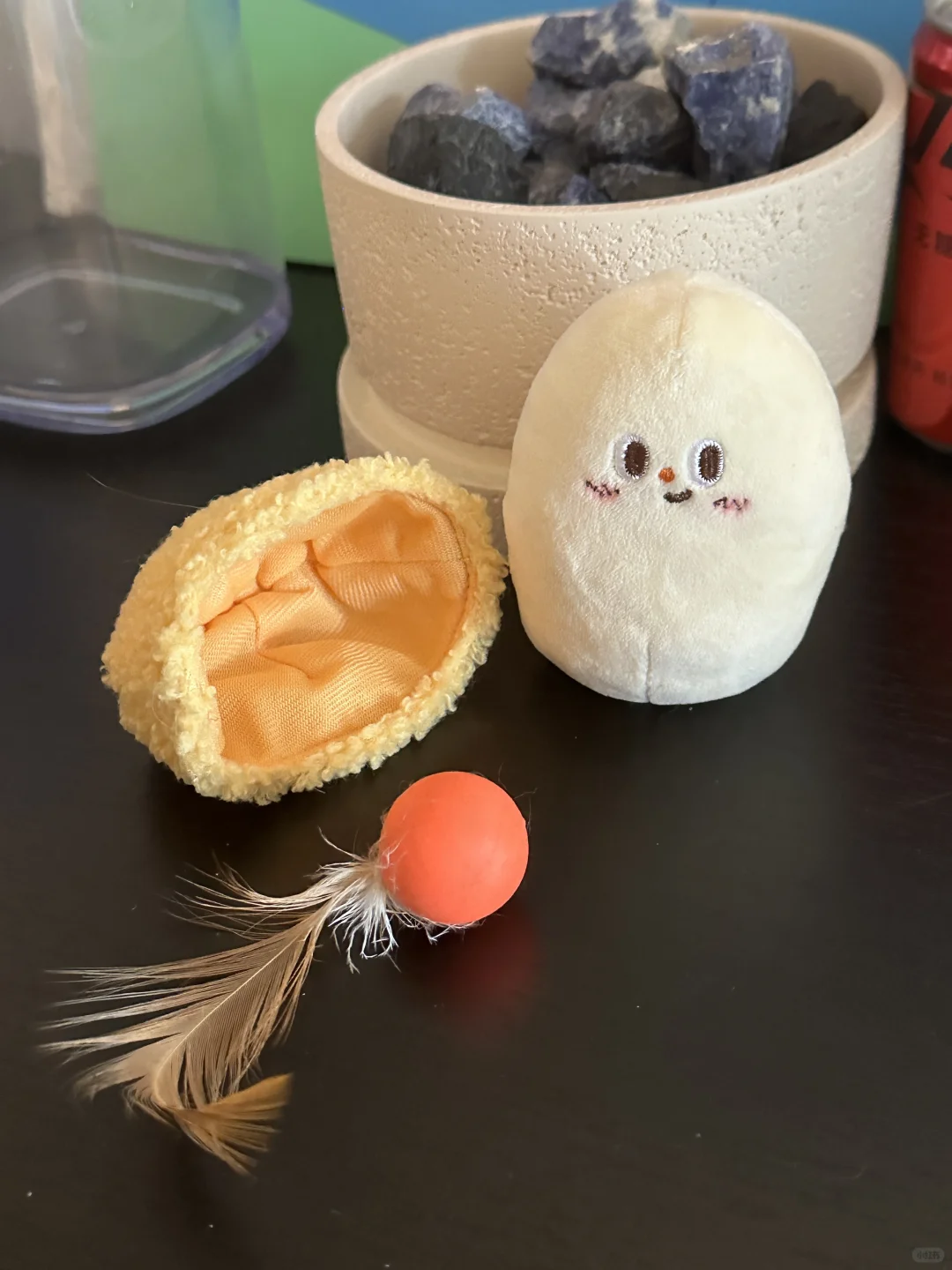 猫届足球选手请看过来‼️
