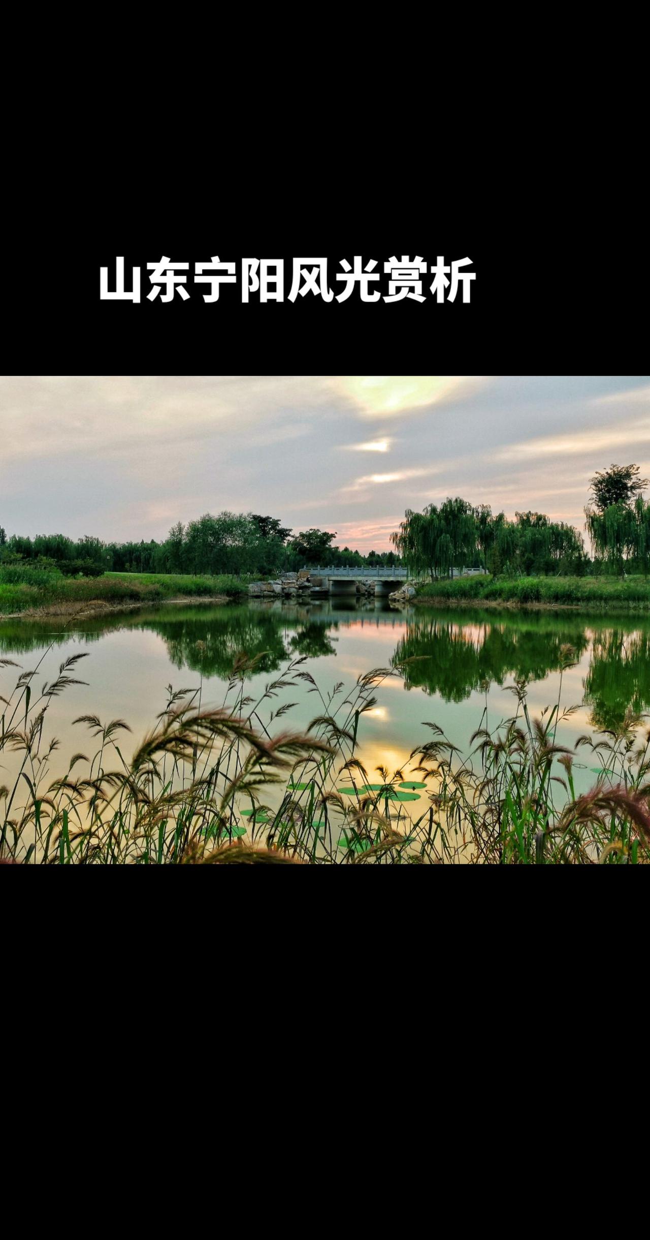 #山东#宁阳#泰安#故乡#风景