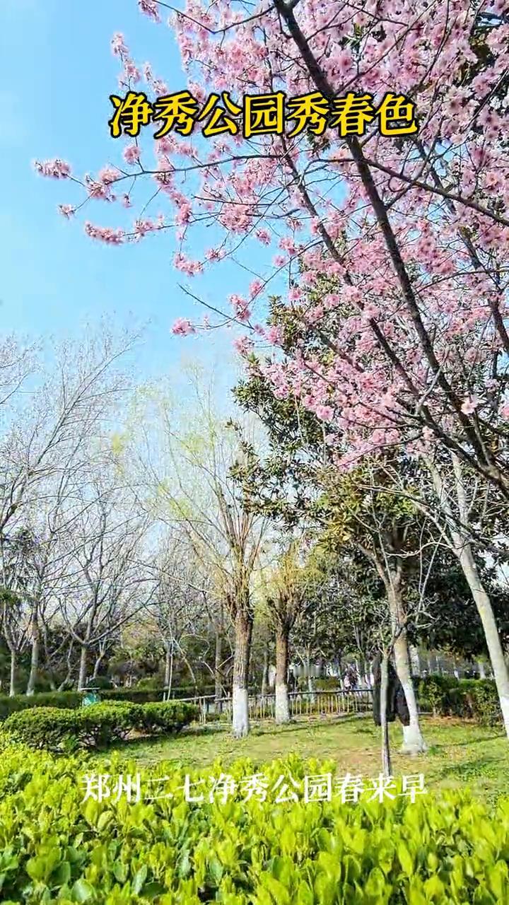 净秀公园秀春色。
郑州二七净秀公园春来早。
净秀公园秀春色。
