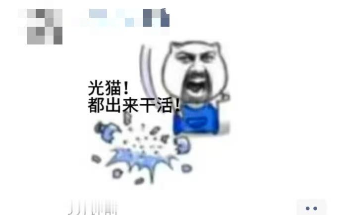 :光猫!都出来干活! 