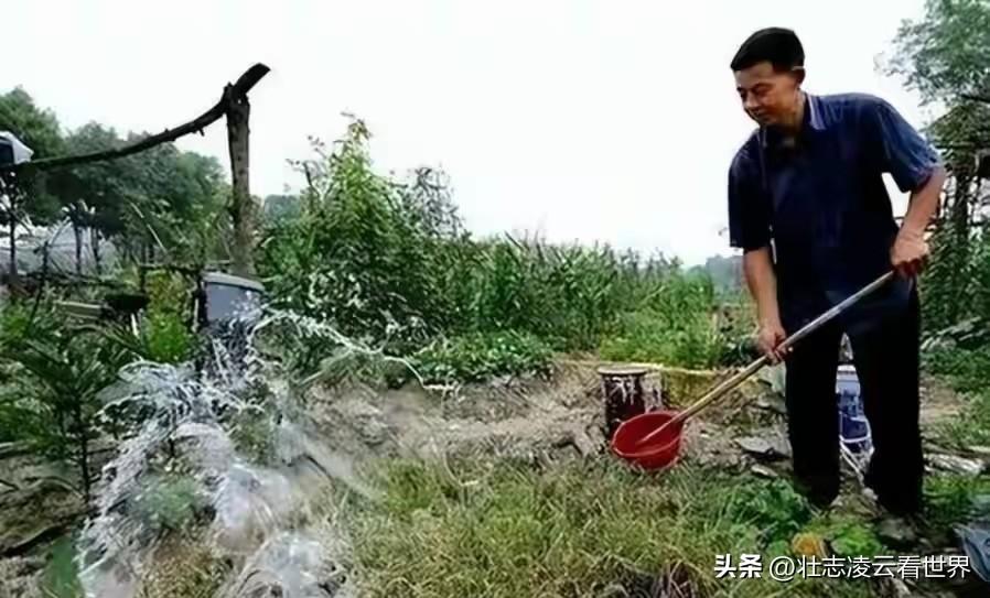 被现代人嫌弃又脏又土的粪水浇菜，竟是欧洲近年深耕研究的有机农业核心技术。
 
我