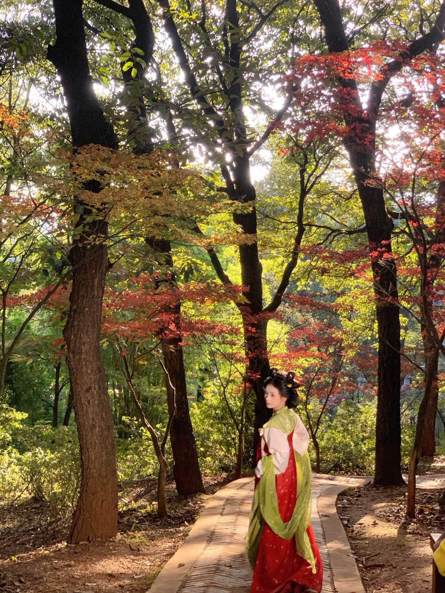 人间朝暮，叶落惊秋。