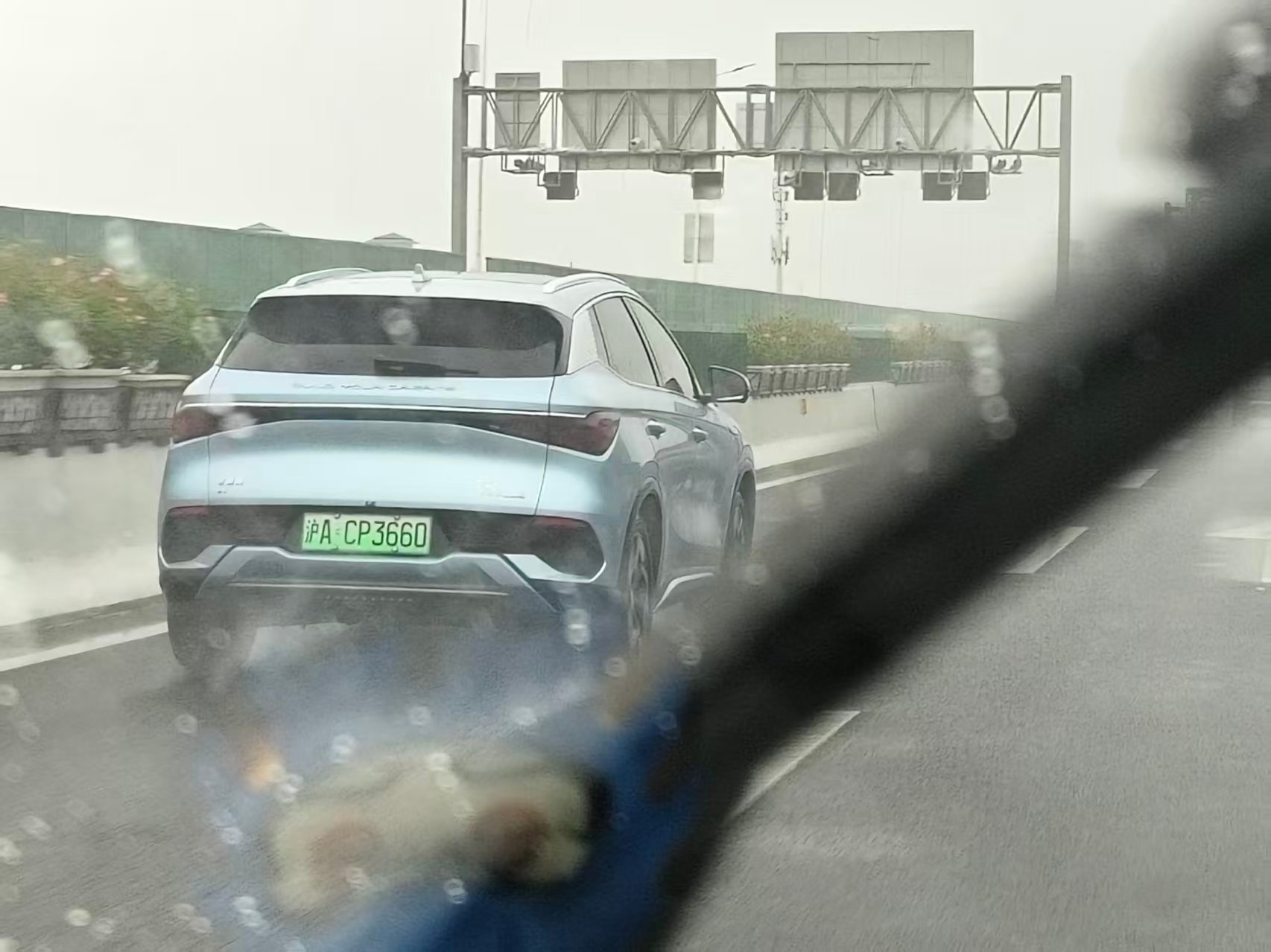 可以可以我的观赛搭子 ​​​