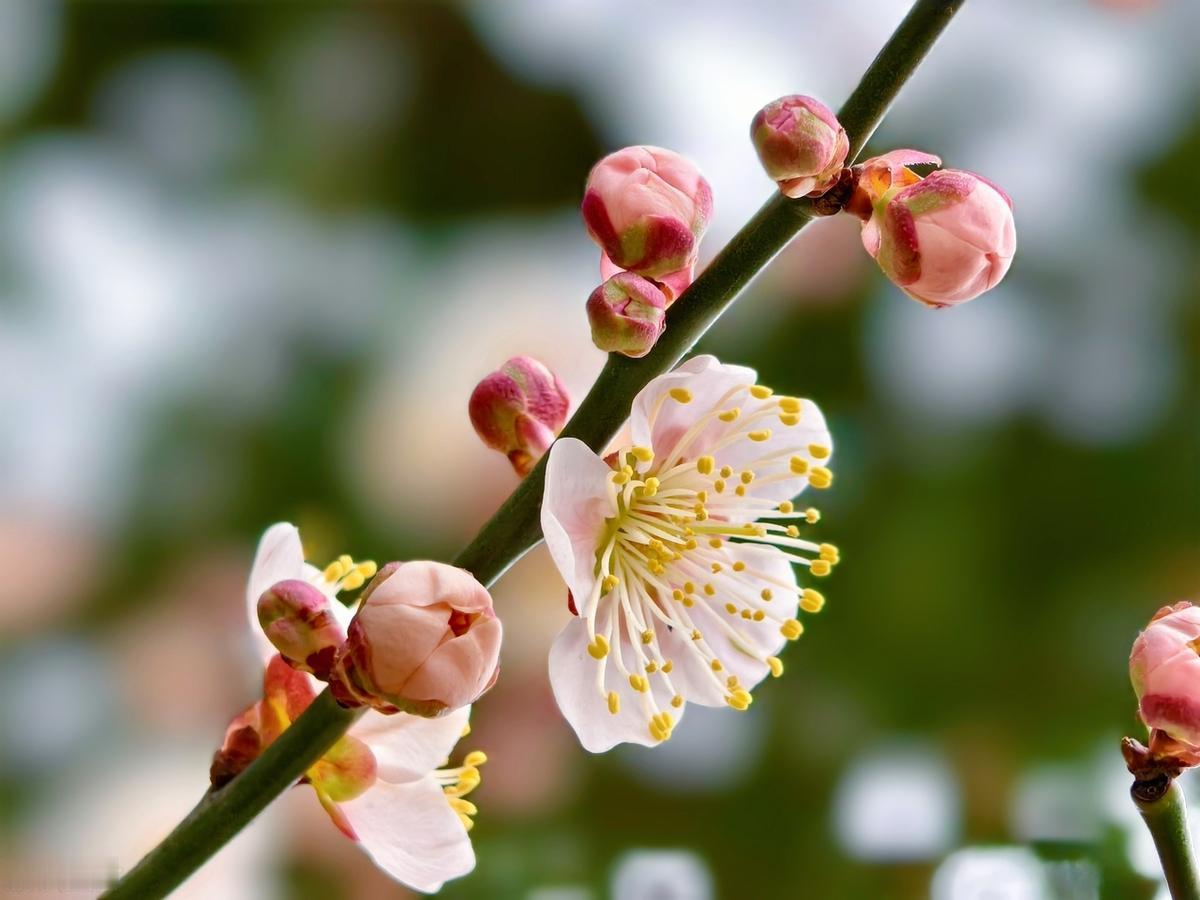 敢的人不是不害怕，而是怕也要向前走；闪亮的人生不是未经黑暗，而是在黑暗中也努力燃