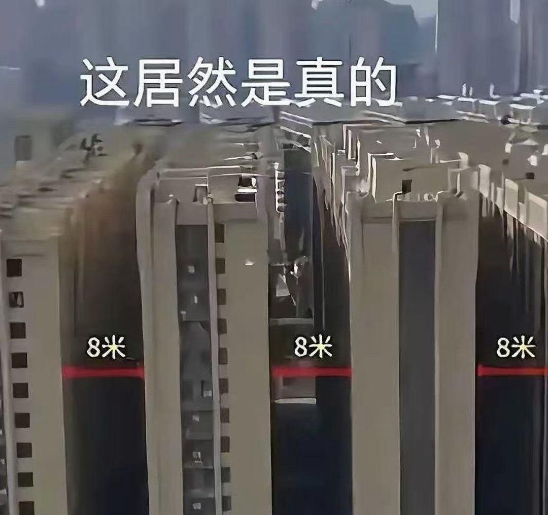 白天也懂夜的黑小区具像化了 