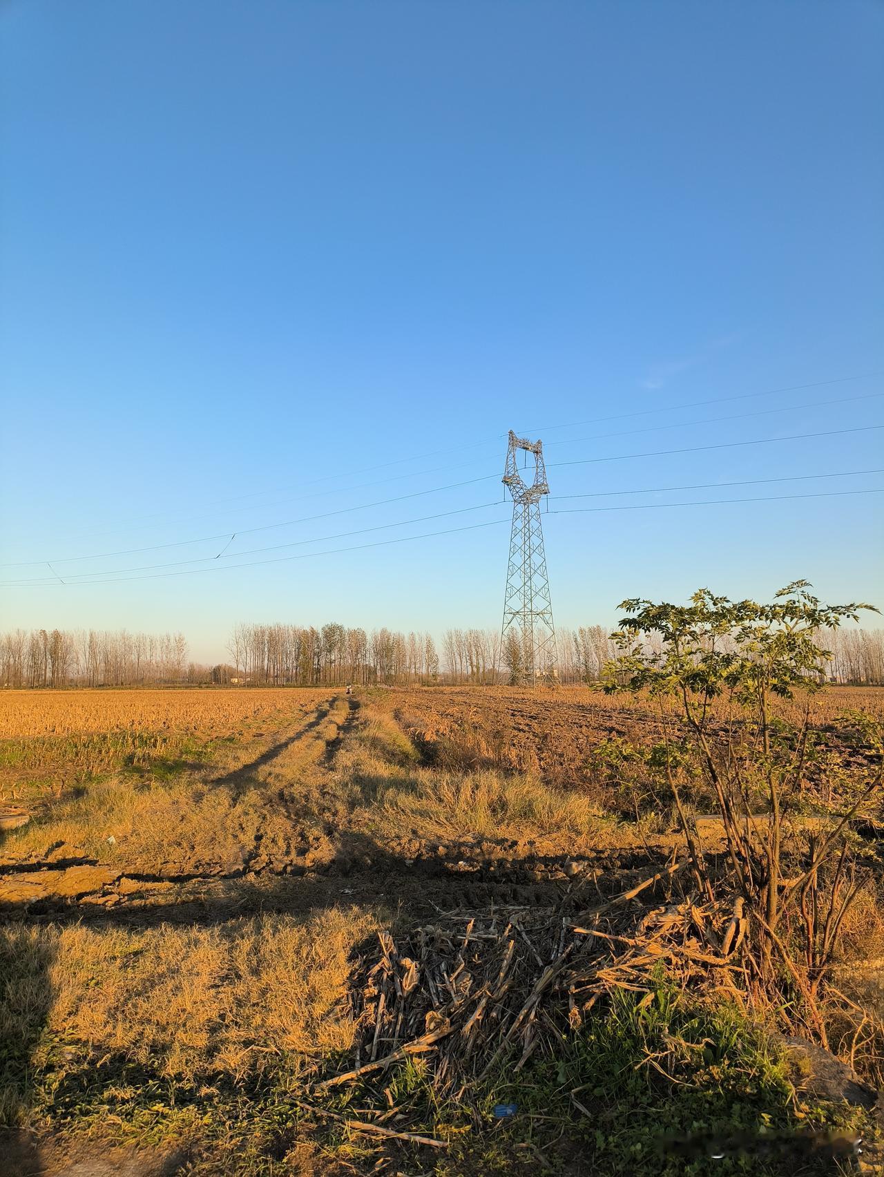 燃烧秸秆，环保还是污染? 燃烧秸秆看似有污染之嫌，实际上却是相当环保的！清理垃圾