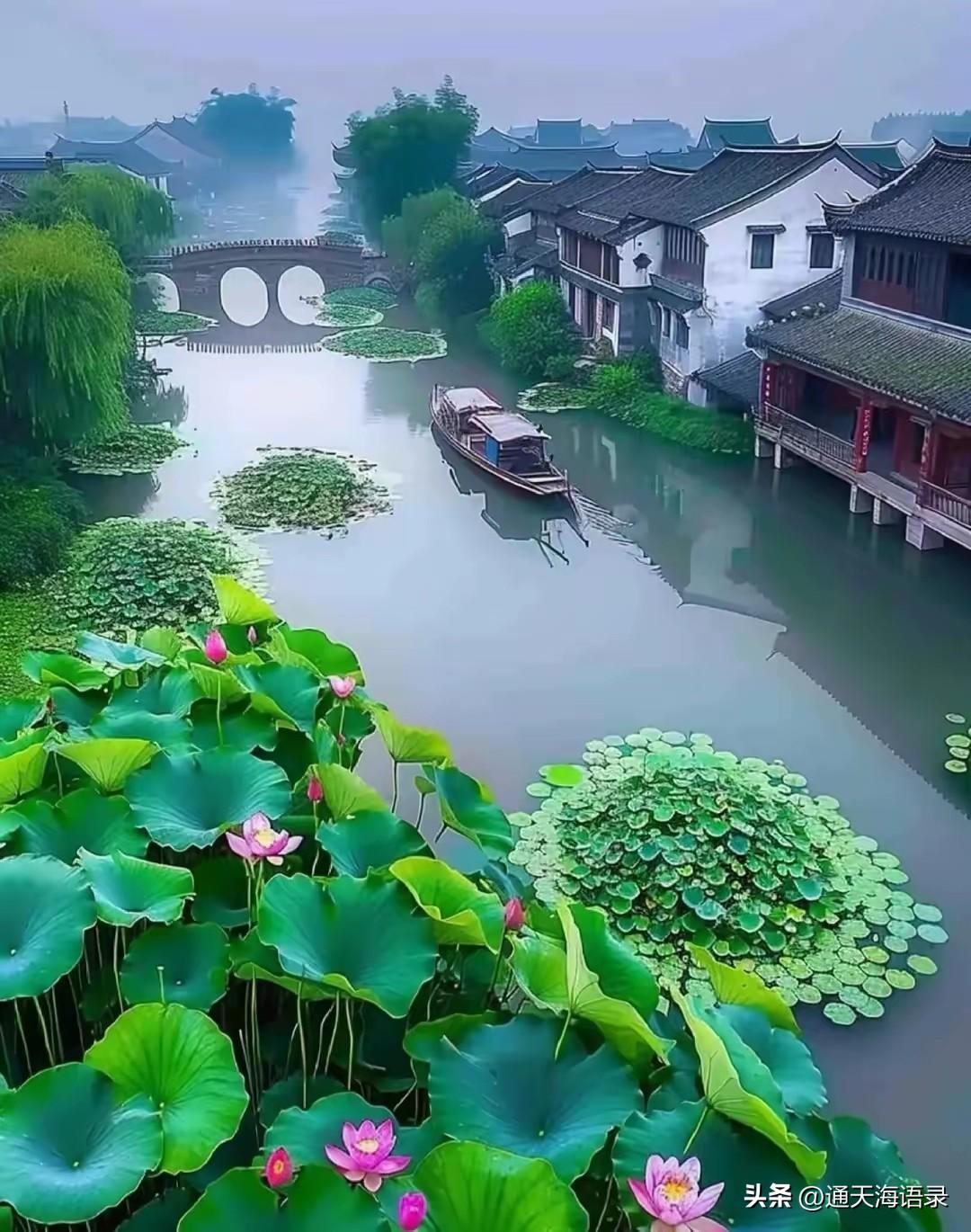 晒图笔记大赛迷幻的江南水乡，如诗如画的自然景观。